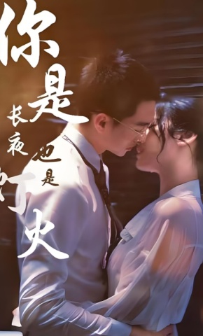 短剧你是长夜也是灯火海报