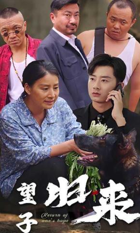 短剧《望子归来》海报