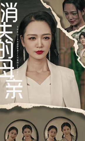 短剧消失的母亲海报