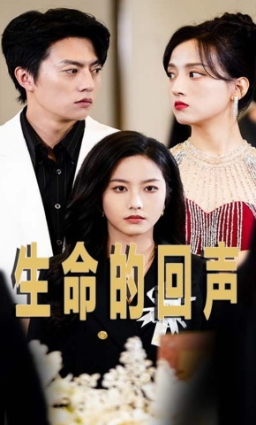 短剧生命的回声海报