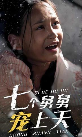 短剧七个舅舅宠上天海报