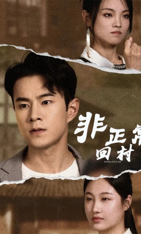 短剧非正常回村海报