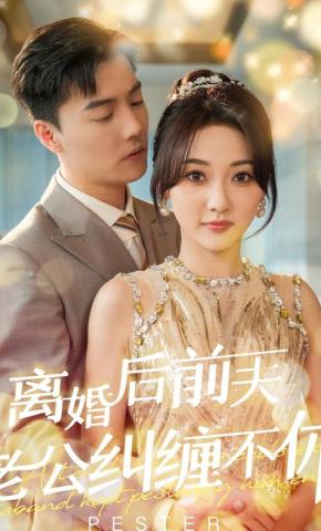 短剧《离婚后前夫老公纠缠不休》海报