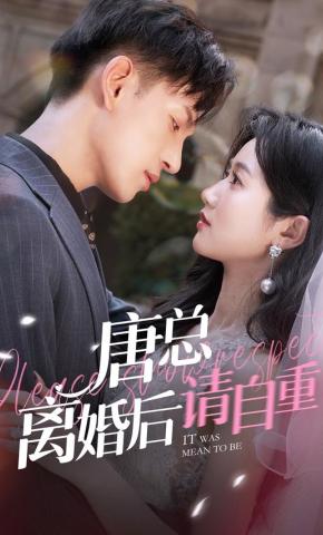 短剧《唐总离婚后请自重》海报