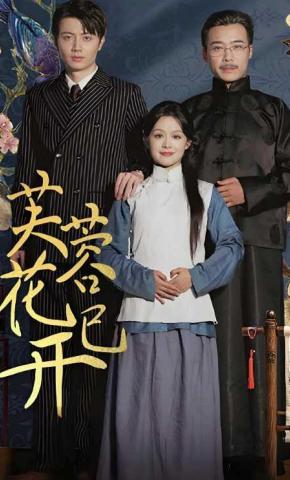 短剧《芙蓉花已开》海报