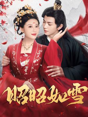 短剧《昭昭如雪》海报