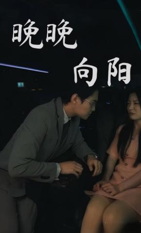 短剧晚晚向阳海报