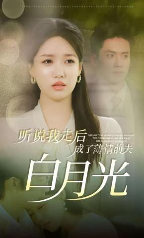 短剧听说我走后成了薄情前夫白月光海报