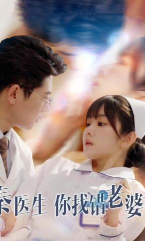 短剧秦医生你找错老婆了海报