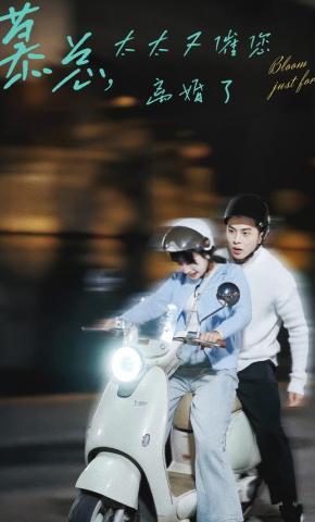 短剧《慕总，太太又催您离婚了》海报