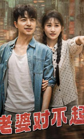 短剧老婆对不起海报