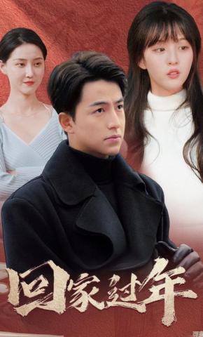 短剧回家过年海报