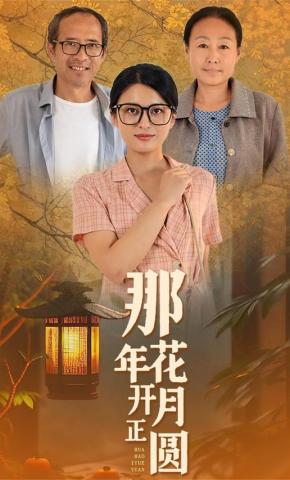 短剧那年花开月正圆海报