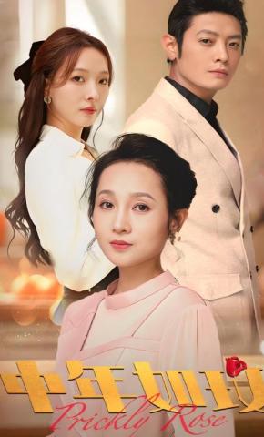 短剧《中年如玫》海报