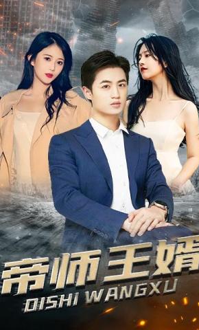 短剧帝师王婿海报