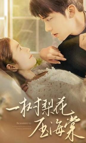 短剧《一树梨花压海棠》海报