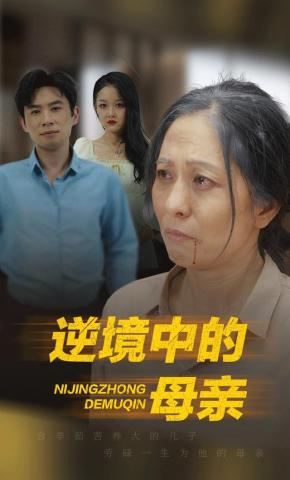 短剧逆境中的母亲海报