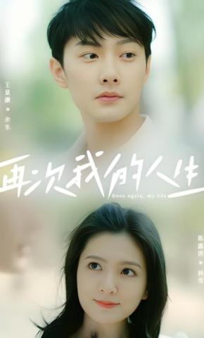 短剧再次我的人生海报