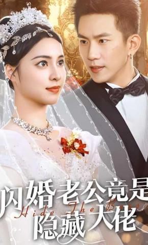 短剧闪婚老公竟是隐藏大佬海报