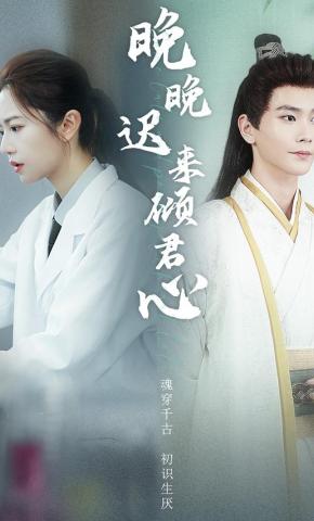 短剧晚晚迟来倾君心海报