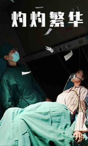 短剧《灼灼繁华》海报