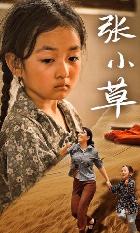 短剧《张小草》海报