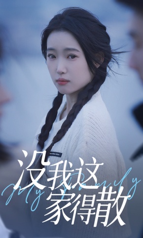 短剧没我这家得散海报