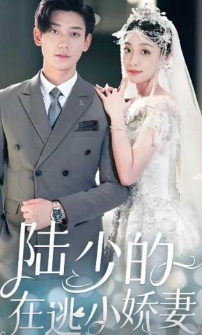 短剧《陆少的在逃小娇妻》海报