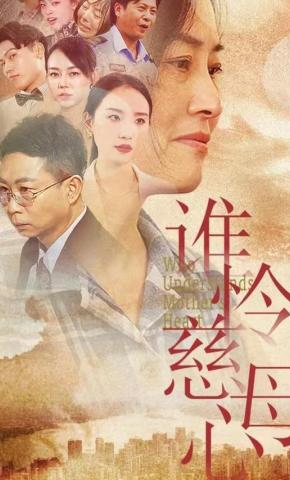 短剧谁怜慈母心海报