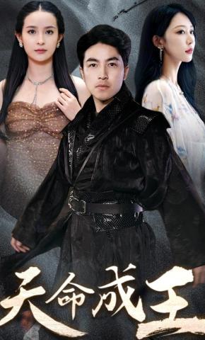 短剧天命成王海报