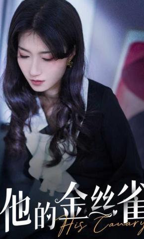 短剧他的金丝雀海报