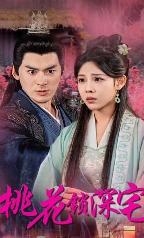 短剧桃花锁深宅海报