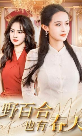 短剧《野百合也有春天》海报