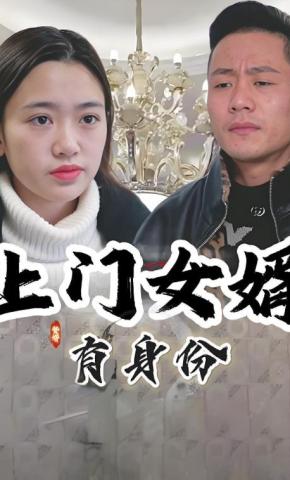 短剧上门女婿有身份海报