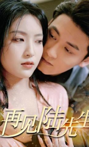 短剧《再见陆先生》海报