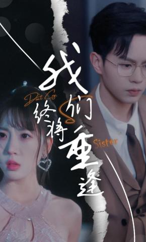 短剧《我们终将重逢》海报