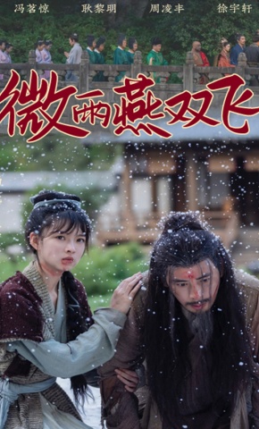 短剧《微雨燕双飞》海报