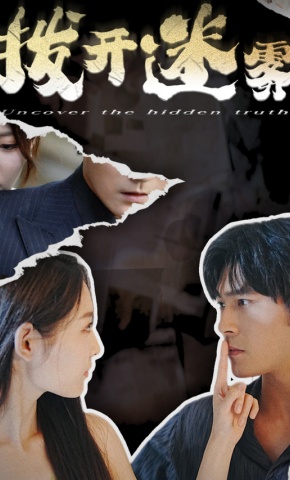 短剧《拨开迷雾》海报
