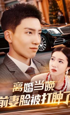 短剧《离婚当晚前妻脸被打肿了》海报