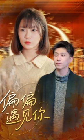 短剧偏偏遇见你海报