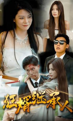 短剧狂婿继承人海报