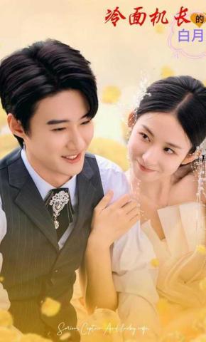 短剧《冷面机长的白月光》海报