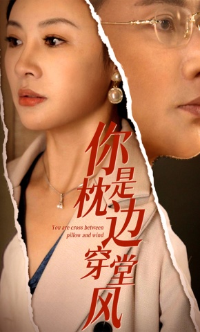 短剧《同床异梦》海报