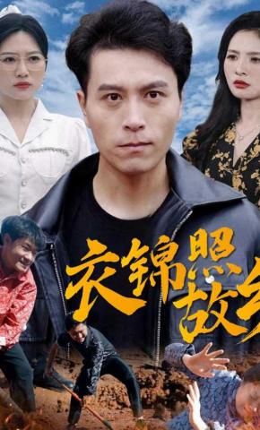 短剧衣锦照故乡海报