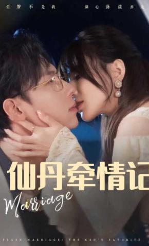 短剧《仙丹牵情记》海报