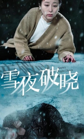 短剧《雪夜破晓》海报