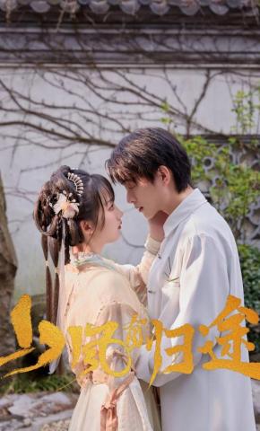 短剧山风有归途海报