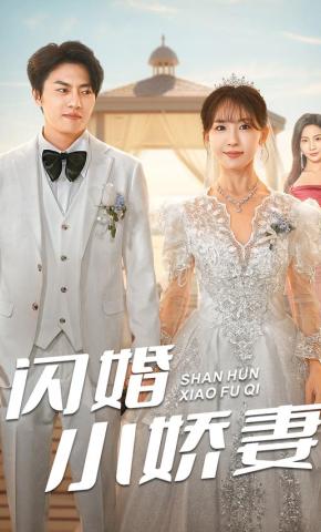 短剧闪婚小娇妻海报