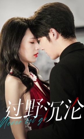 短剧《过野沉沦》海报