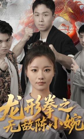 短剧《龙形拳之无敌陈小婉》海报